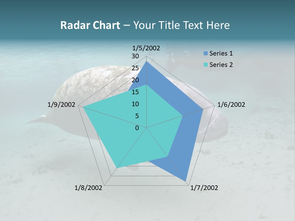 Tropical Bottom Crystal PowerPoint Template