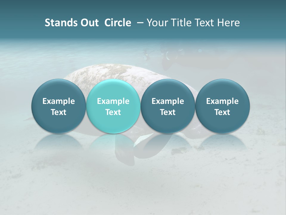 Tropical Bottom Crystal PowerPoint Template