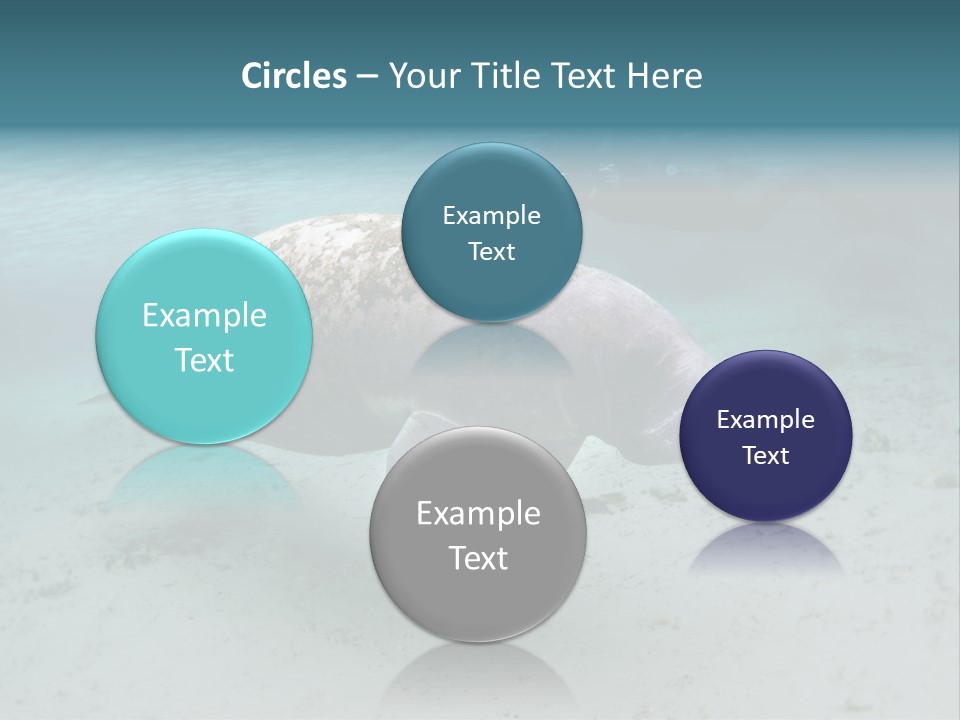 Tropical Bottom Crystal PowerPoint Template