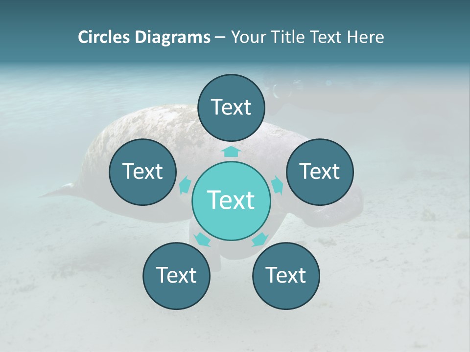 Tropical Bottom Crystal PowerPoint Template