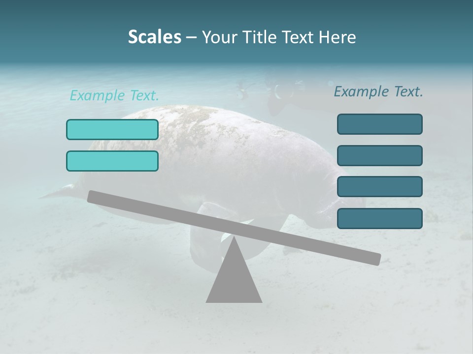 Tropical Bottom Crystal PowerPoint Template