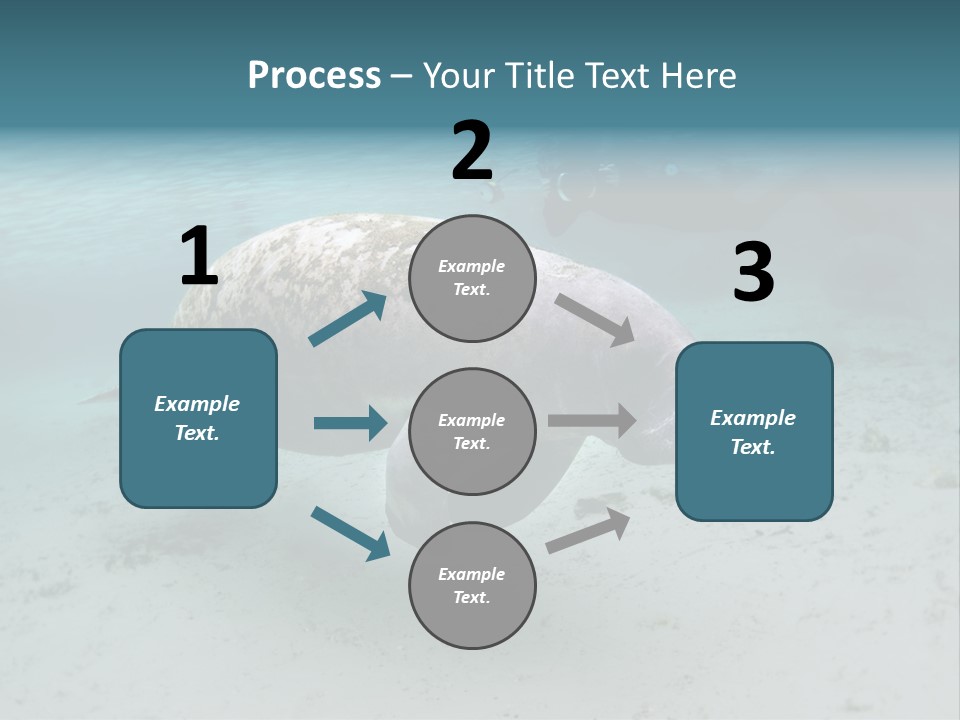 Tropical Bottom Crystal PowerPoint Template