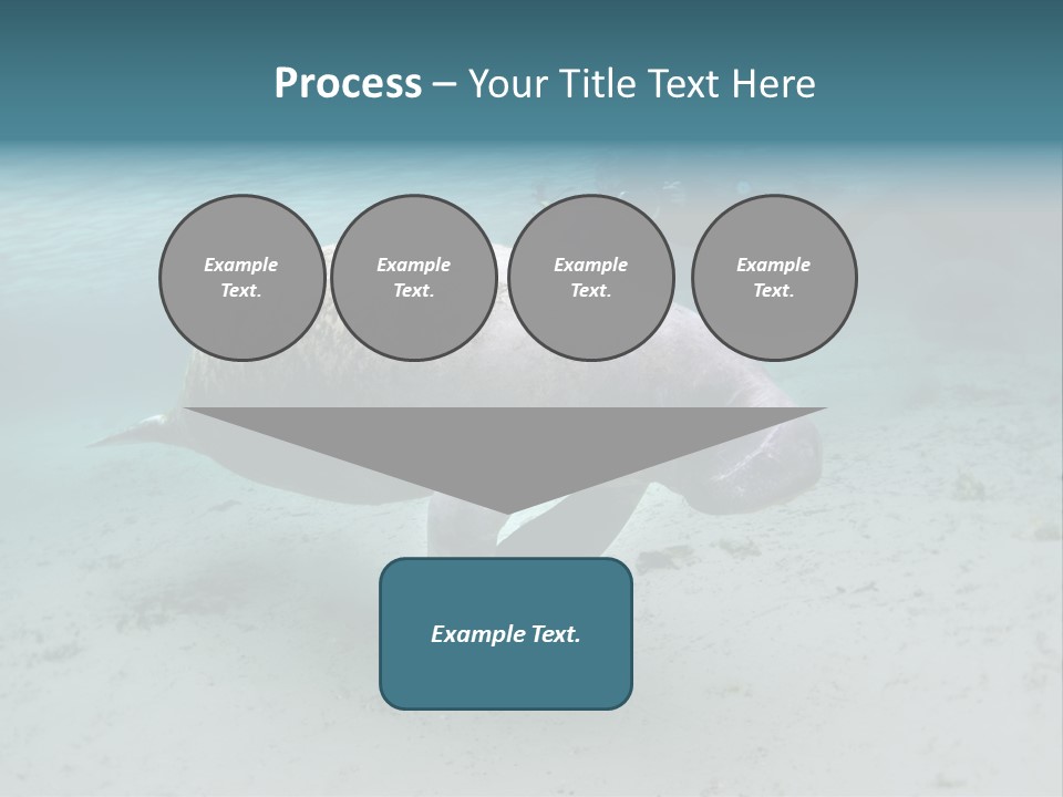 Tropical Bottom Crystal PowerPoint Template