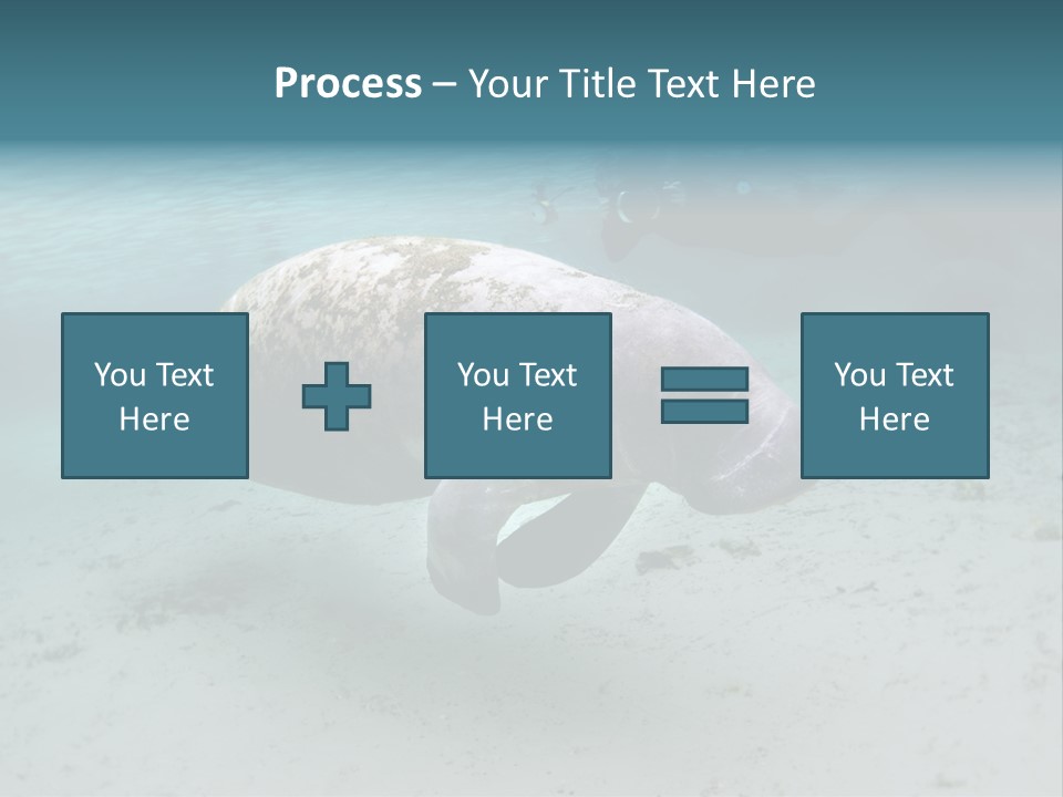 Tropical Bottom Crystal PowerPoint Template