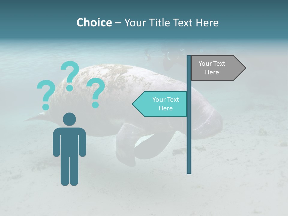 Tropical Bottom Crystal PowerPoint Template