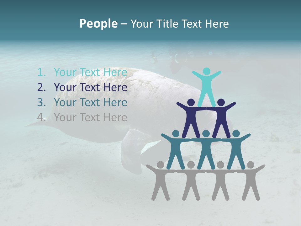 Tropical Bottom Crystal PowerPoint Template