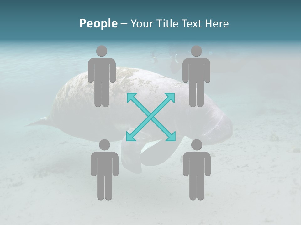 Tropical Bottom Crystal PowerPoint Template