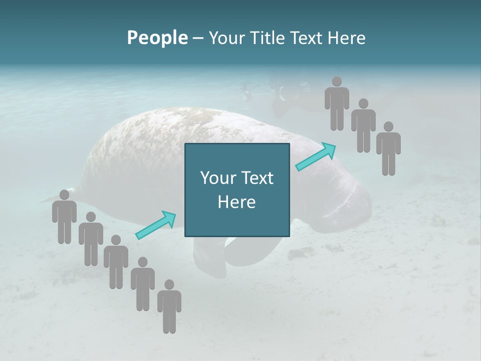 Tropical Bottom Crystal PowerPoint Template