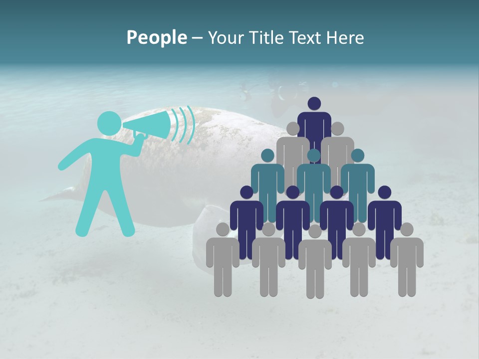 Tropical Bottom Crystal PowerPoint Template