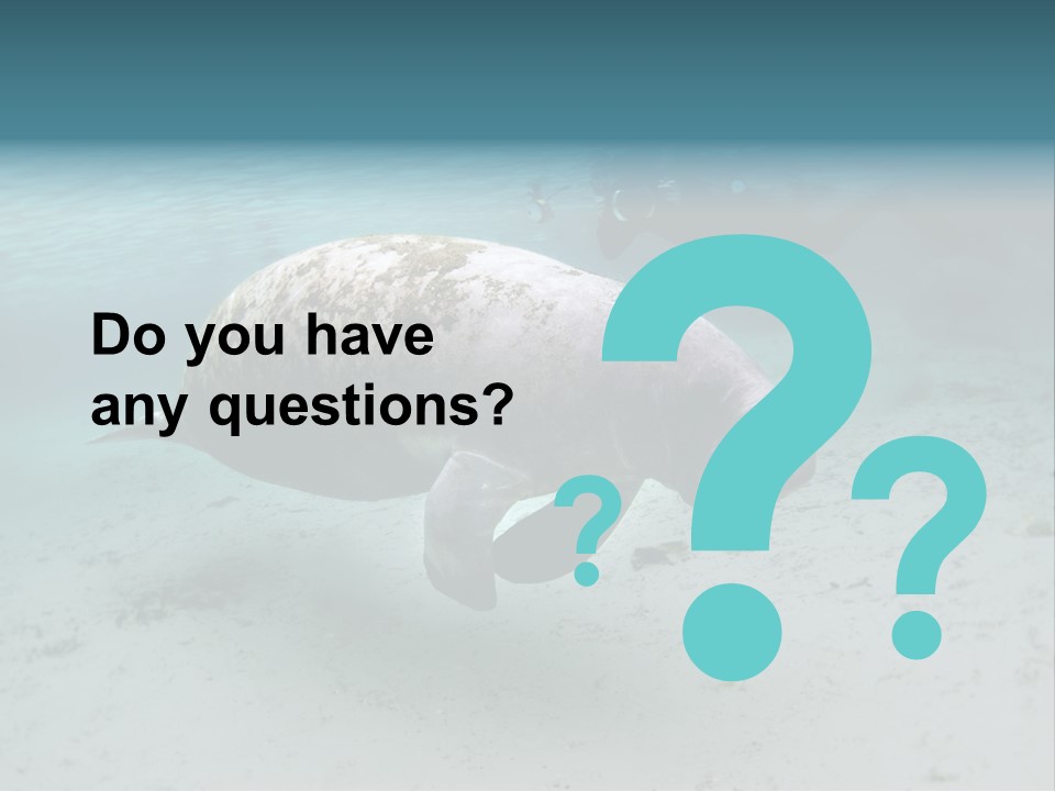 Tropical Bottom Crystal PowerPoint Template