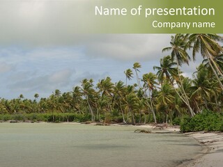 Atoll Palm Pacific PowerPoint Template