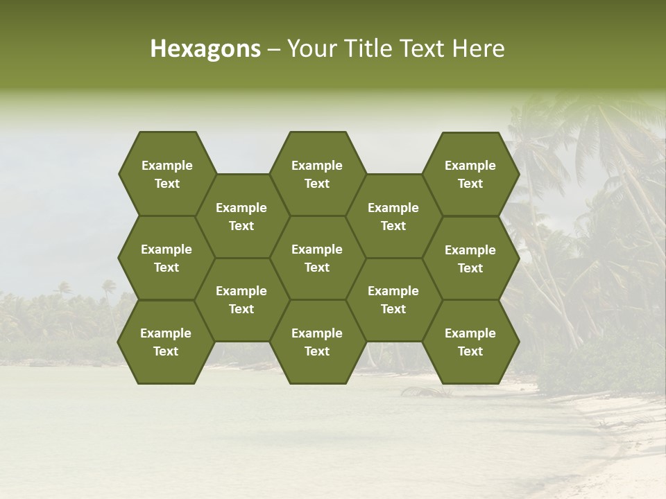 Atoll Palm Pacific PowerPoint Template