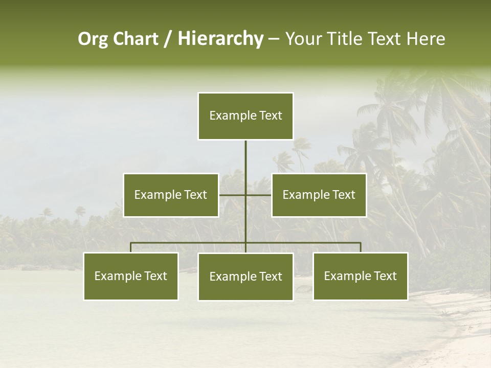Atoll Palm Pacific PowerPoint Template