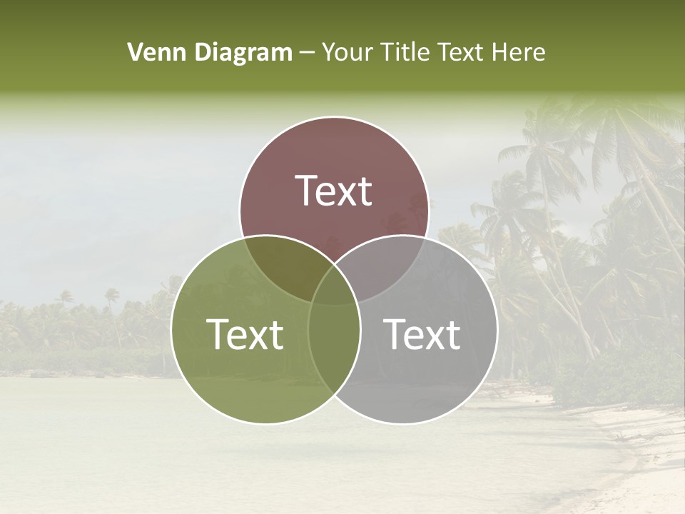 Atoll Palm Pacific PowerPoint Template