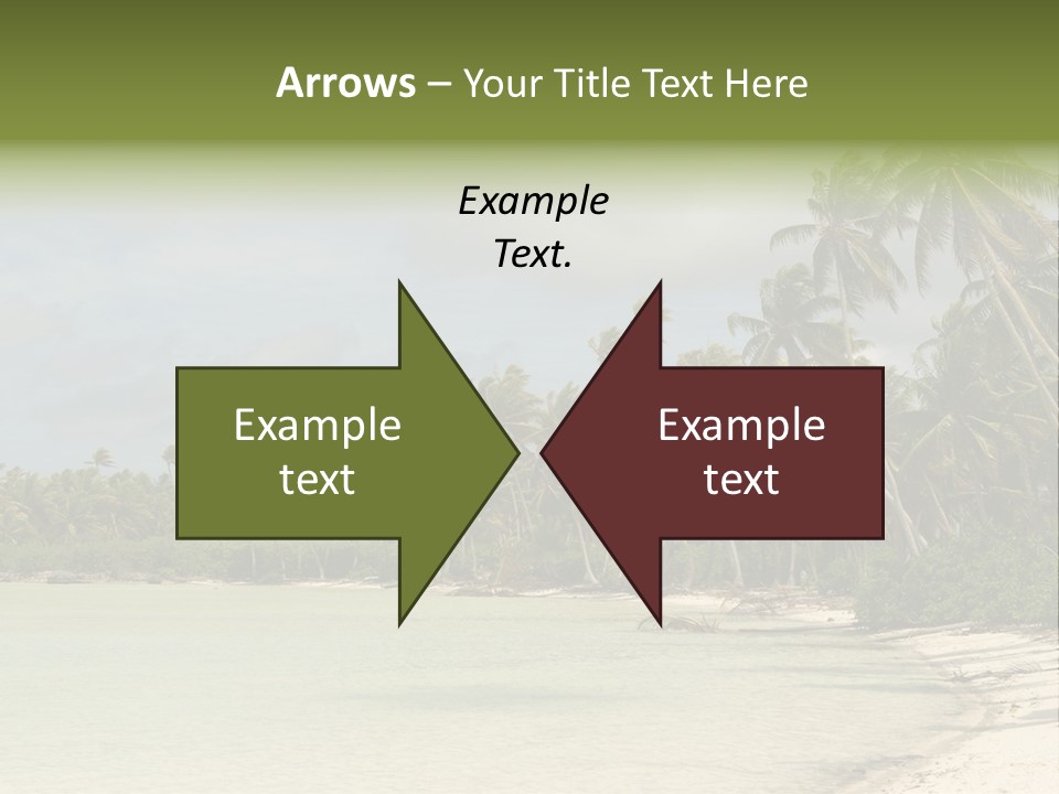 Atoll Palm Pacific PowerPoint Template