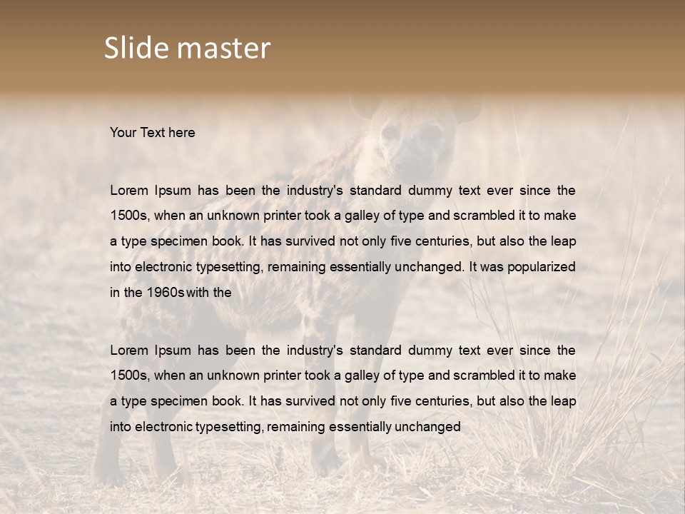 Zambia Predator Nationalpark PowerPoint Template