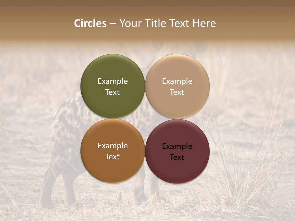 Zambia Predator Nationalpark PowerPoint Template