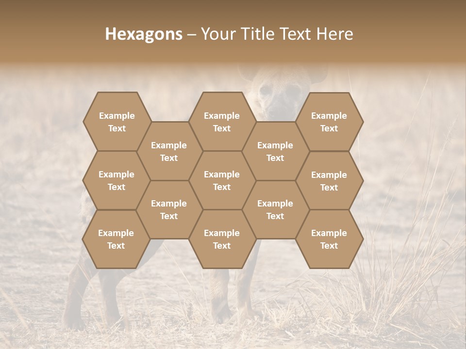 Zambia Predator Nationalpark PowerPoint Template