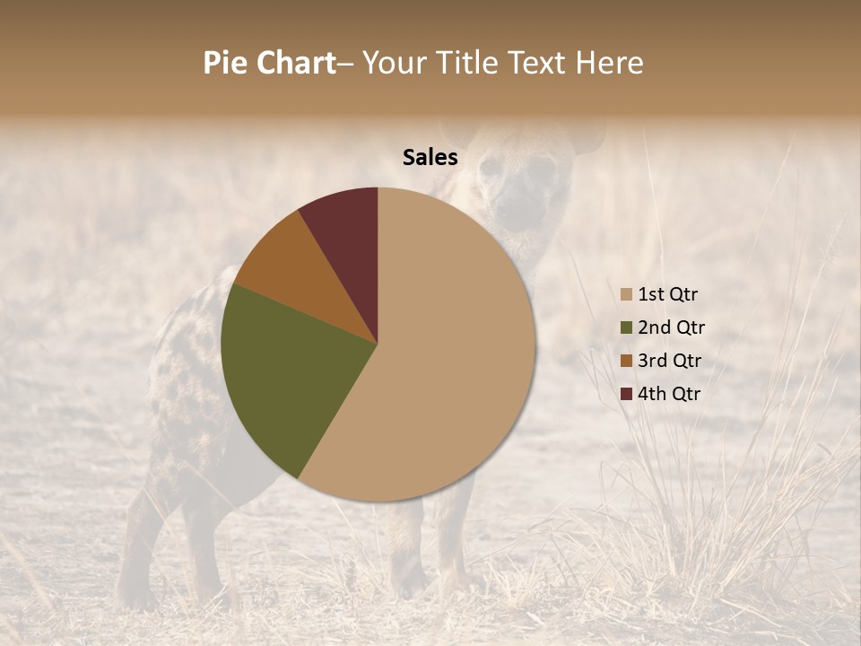 Zambia Predator Nationalpark PowerPoint Template