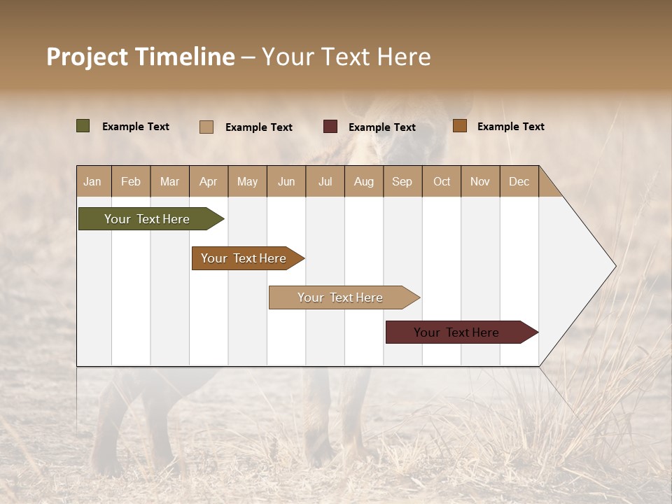 Zambia Predator Nationalpark PowerPoint Template