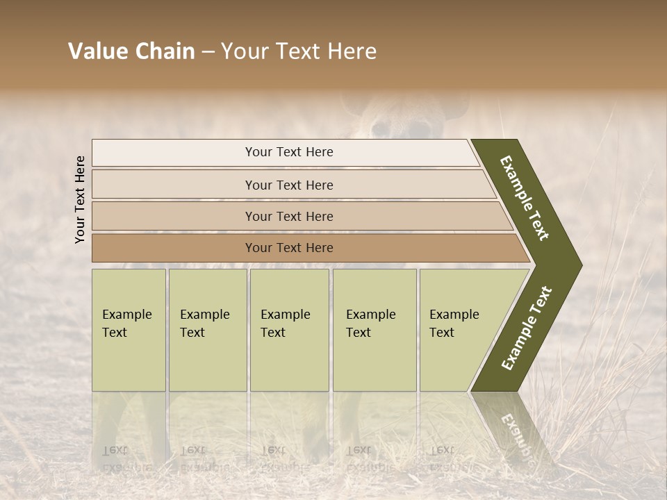 Zambia Predator Nationalpark PowerPoint Template