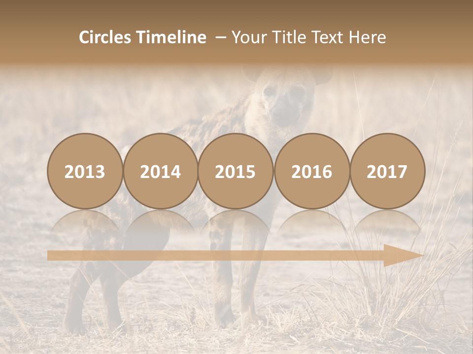 Zambia Predator Nationalpark PowerPoint Template