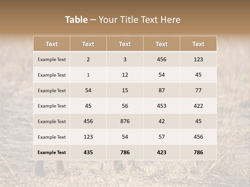 Zambia Predator Nationalpark PowerPoint Template