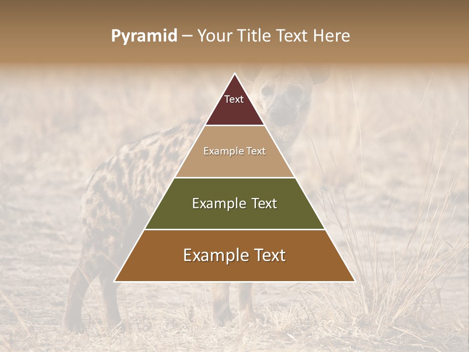 Zambia Predator Nationalpark PowerPoint Template