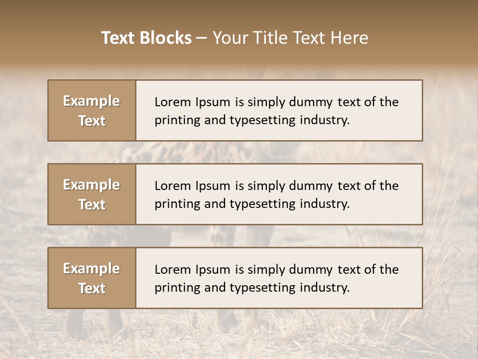 Zambia Predator Nationalpark PowerPoint Template