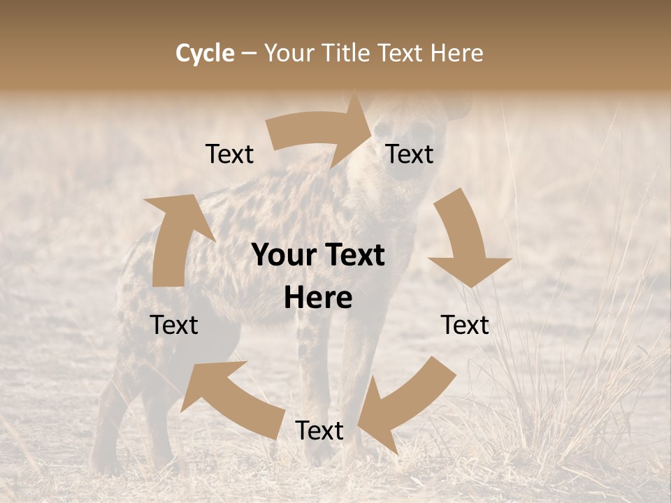 Zambia Predator Nationalpark PowerPoint Template