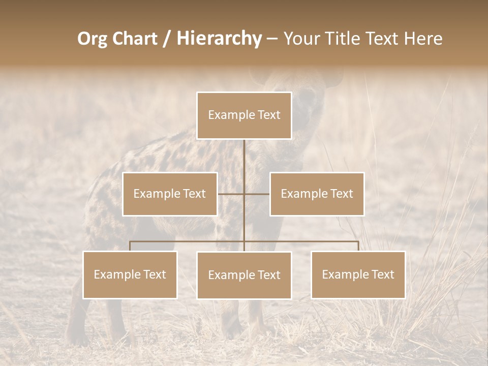 Zambia Predator Nationalpark PowerPoint Template