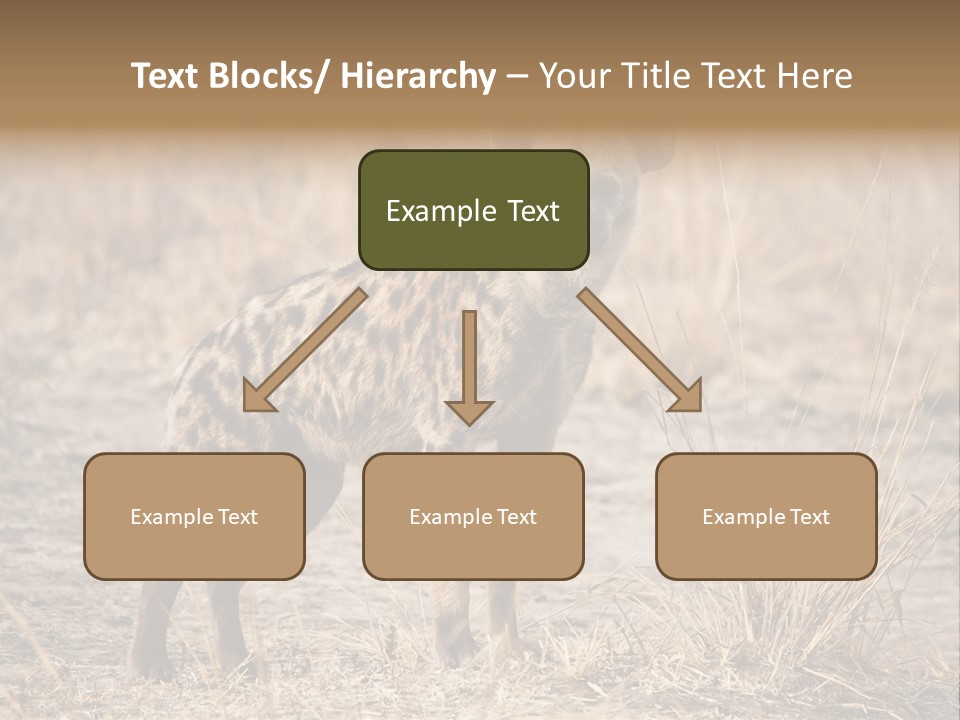 Zambia Predator Nationalpark PowerPoint Template