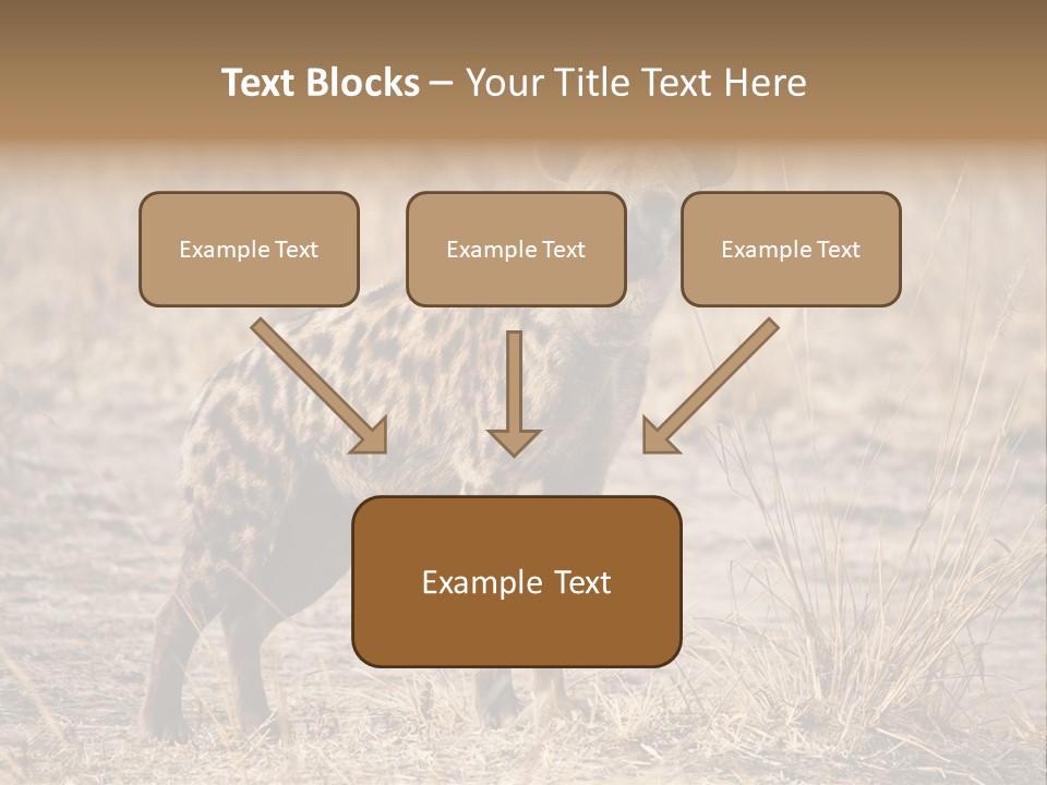 Zambia Predator Nationalpark PowerPoint Template