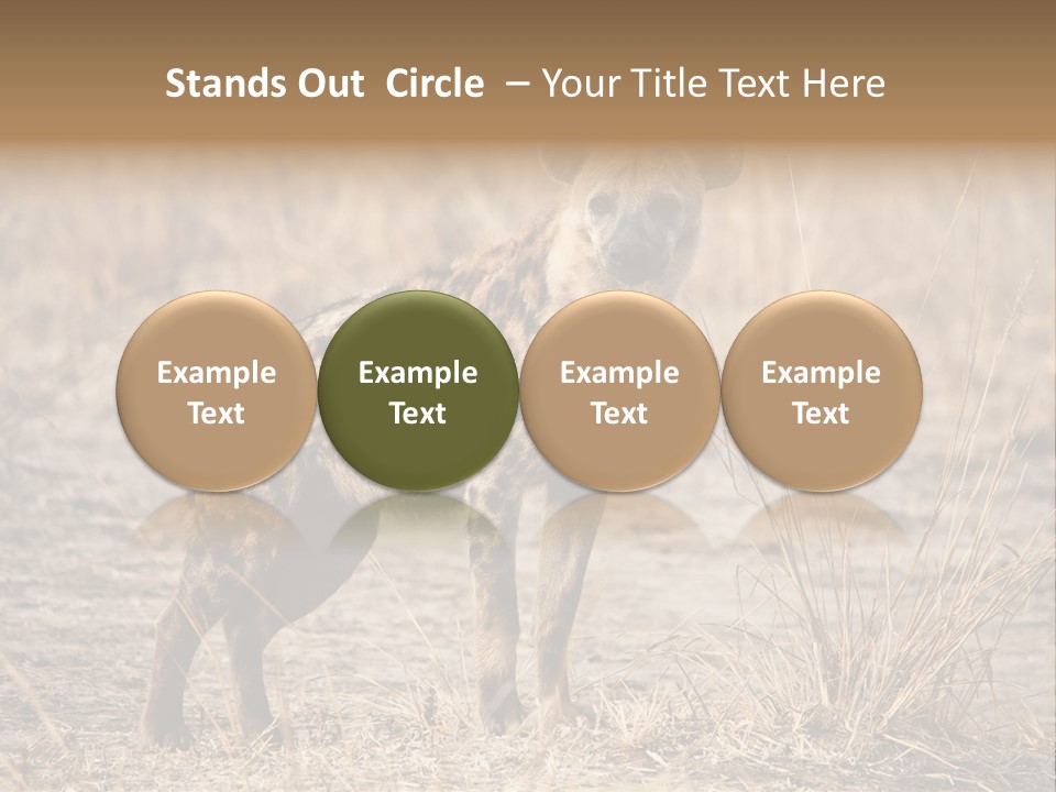 Zambia Predator Nationalpark PowerPoint Template