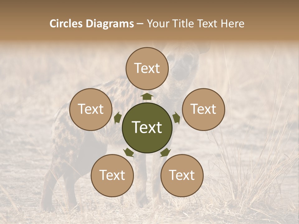 Zambia Predator Nationalpark PowerPoint Template