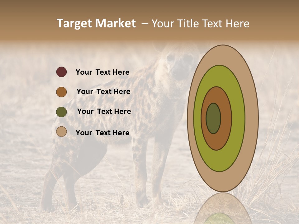 Zambia Predator Nationalpark PowerPoint Template
