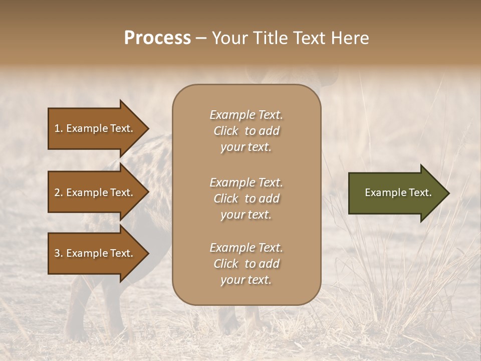 Zambia Predator Nationalpark PowerPoint Template