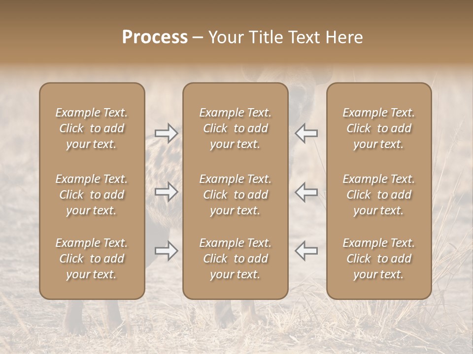 Zambia Predator Nationalpark PowerPoint Template