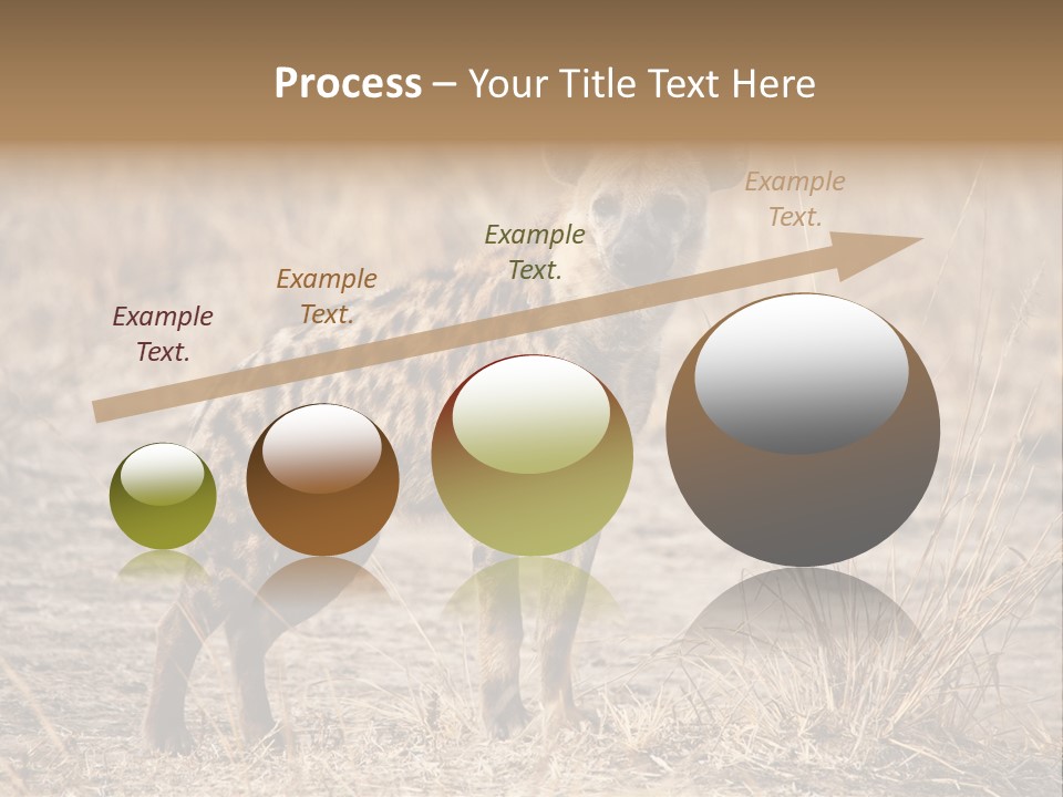 Zambia Predator Nationalpark PowerPoint Template