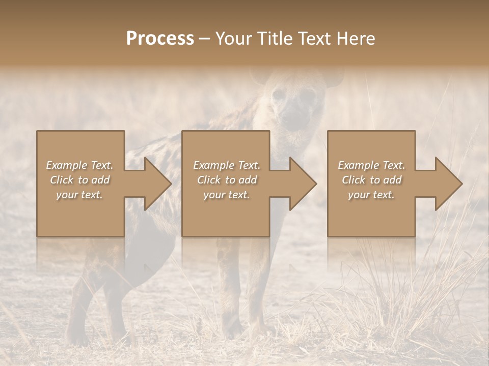 Zambia Predator Nationalpark PowerPoint Template