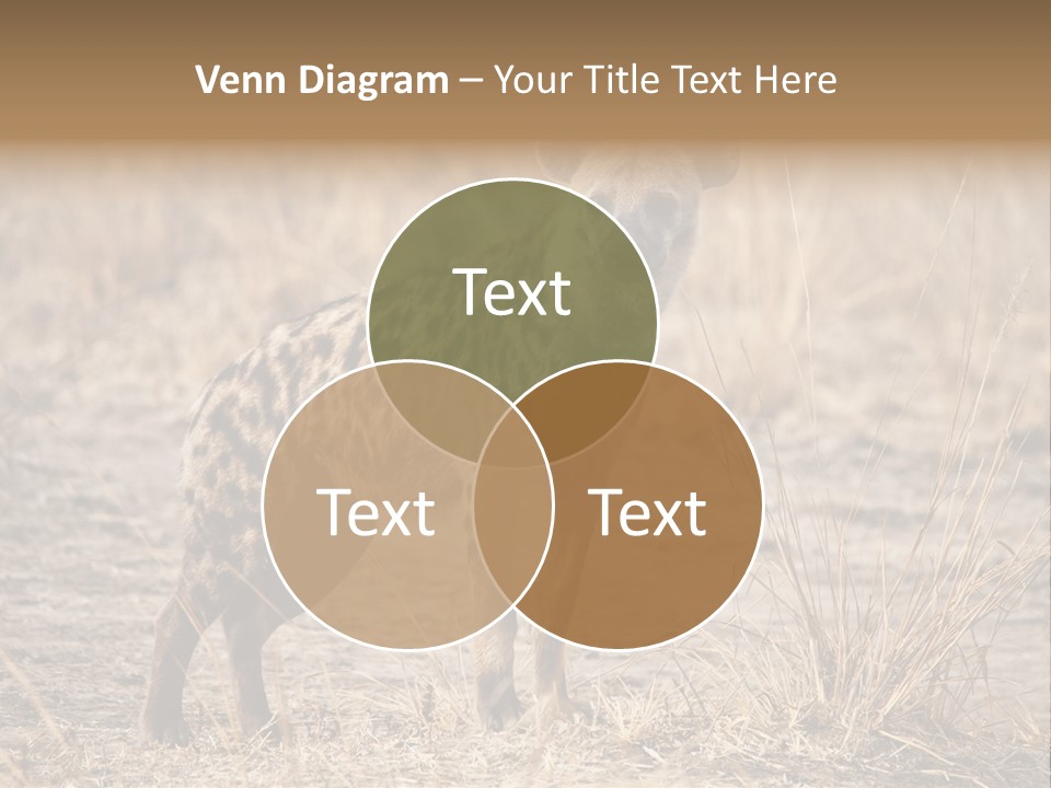 Zambia Predator Nationalpark PowerPoint Template