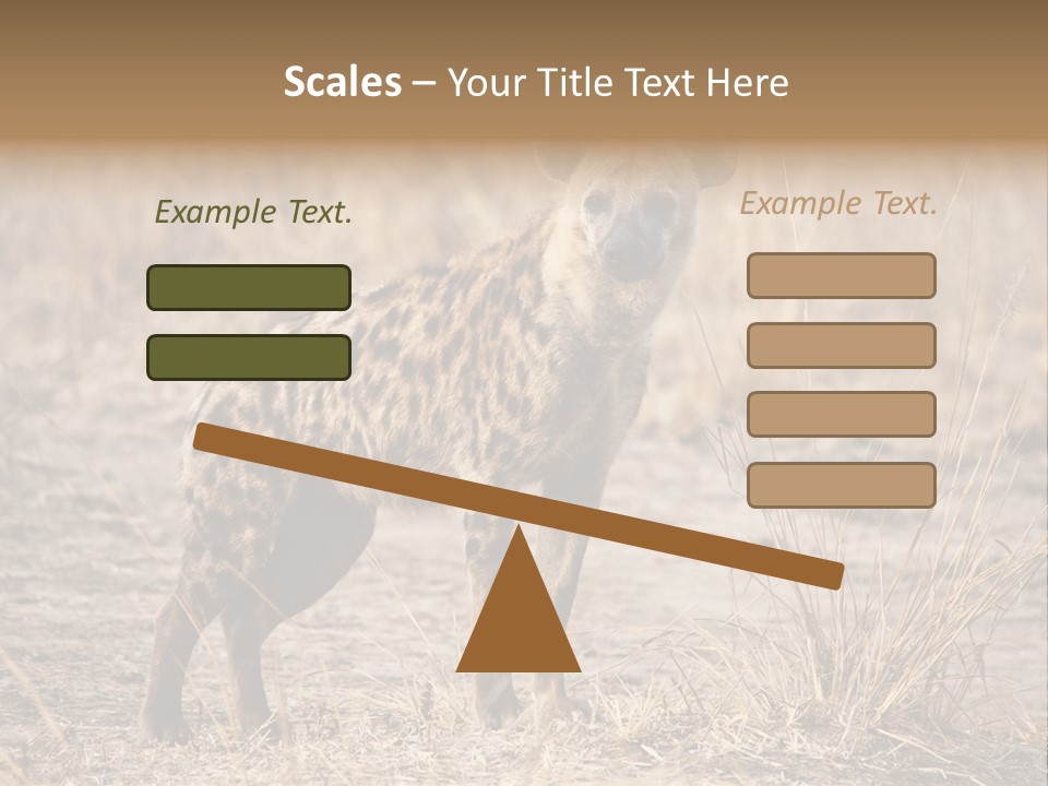 Zambia Predator Nationalpark PowerPoint Template