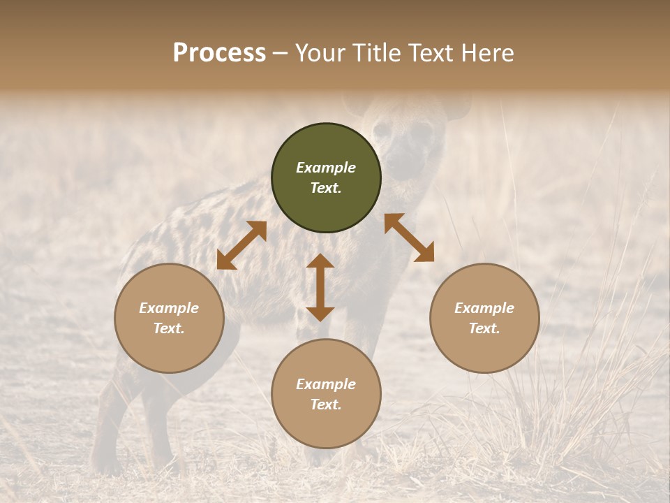 Zambia Predator Nationalpark PowerPoint Template