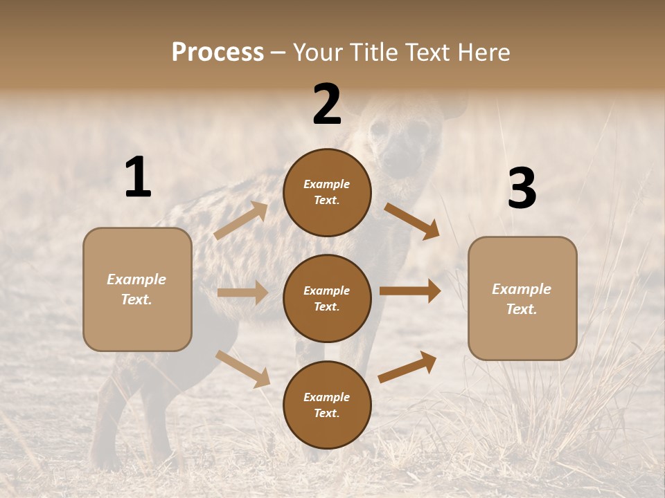 Zambia Predator Nationalpark PowerPoint Template