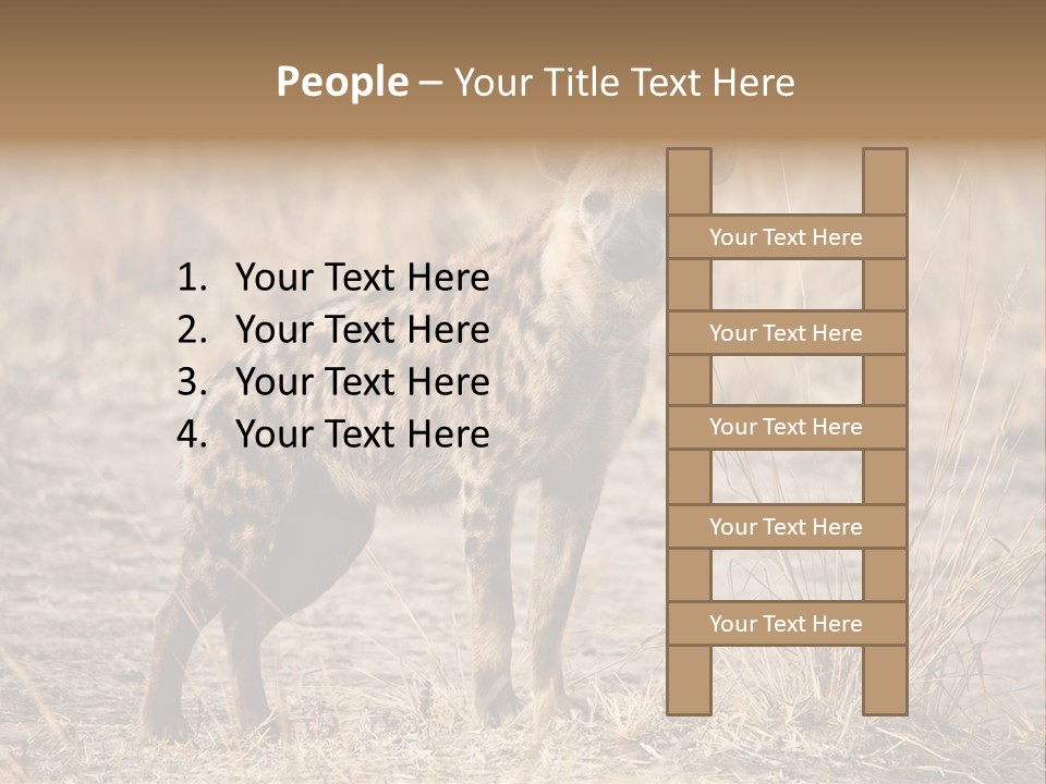 Zambia Predator Nationalpark PowerPoint Template