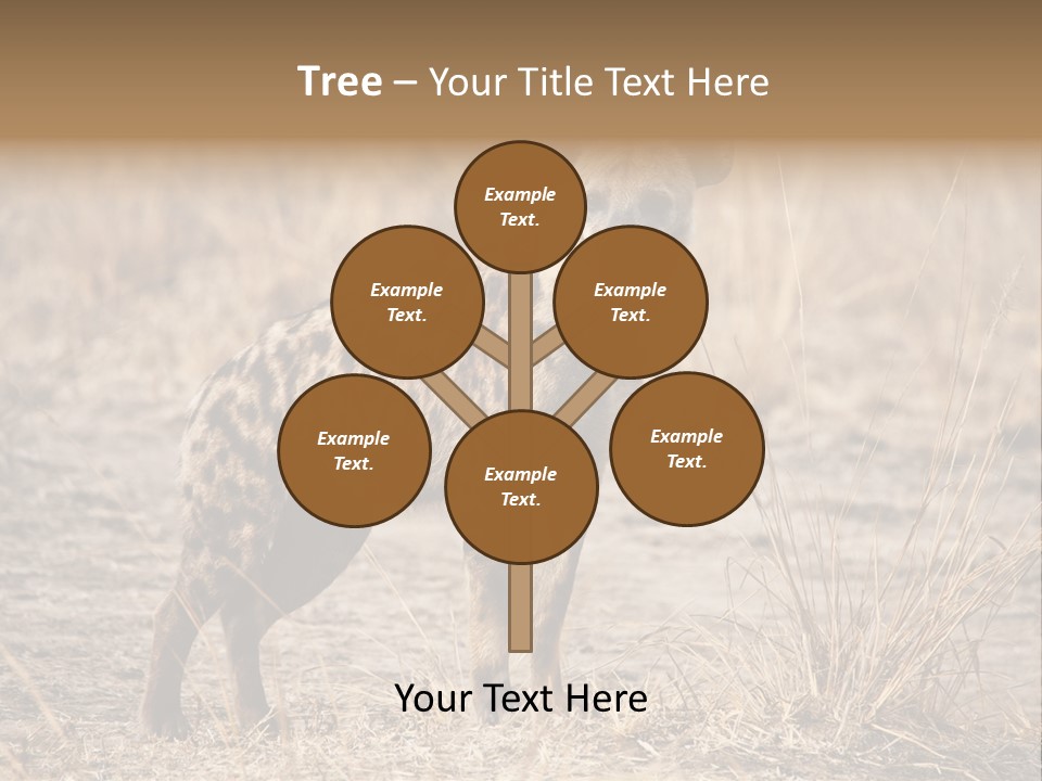 Zambia Predator Nationalpark PowerPoint Template