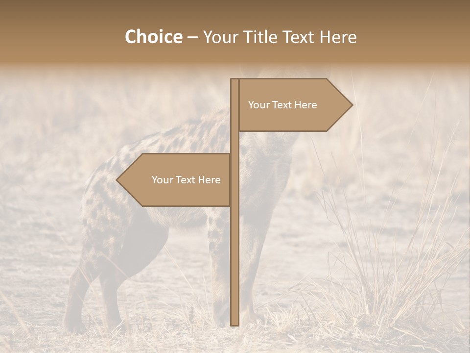 Zambia Predator Nationalpark PowerPoint Template