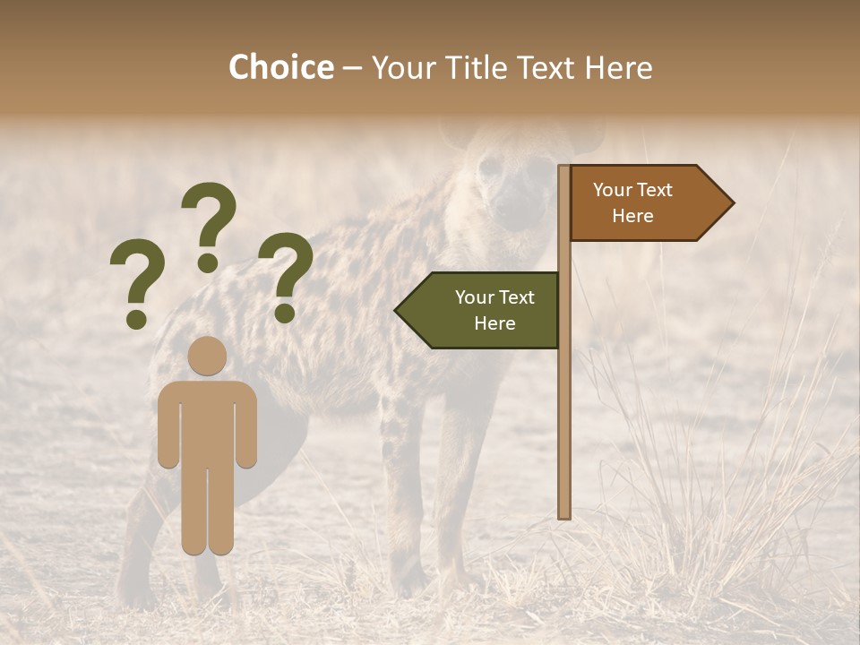 Zambia Predator Nationalpark PowerPoint Template