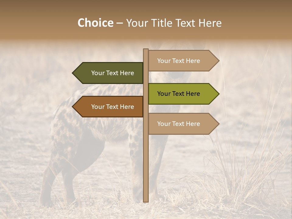 Zambia Predator Nationalpark PowerPoint Template