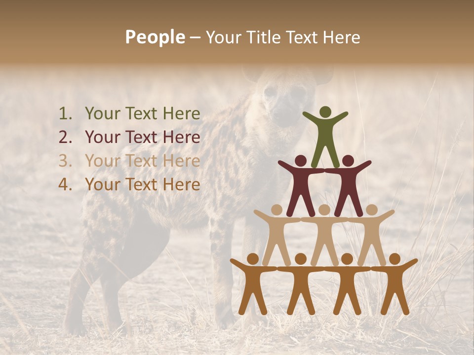 Zambia Predator Nationalpark PowerPoint Template